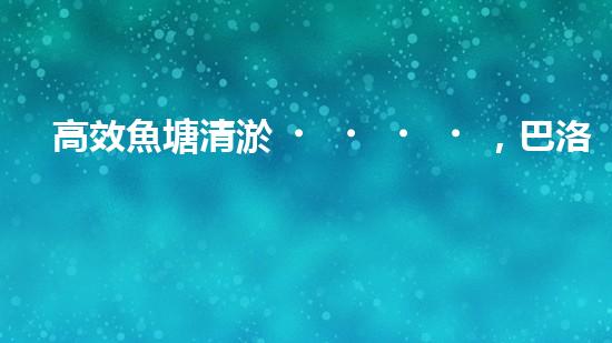 高效魚塘清淤，巴洛仕設備助力生態(tài)養(yǎng)殖